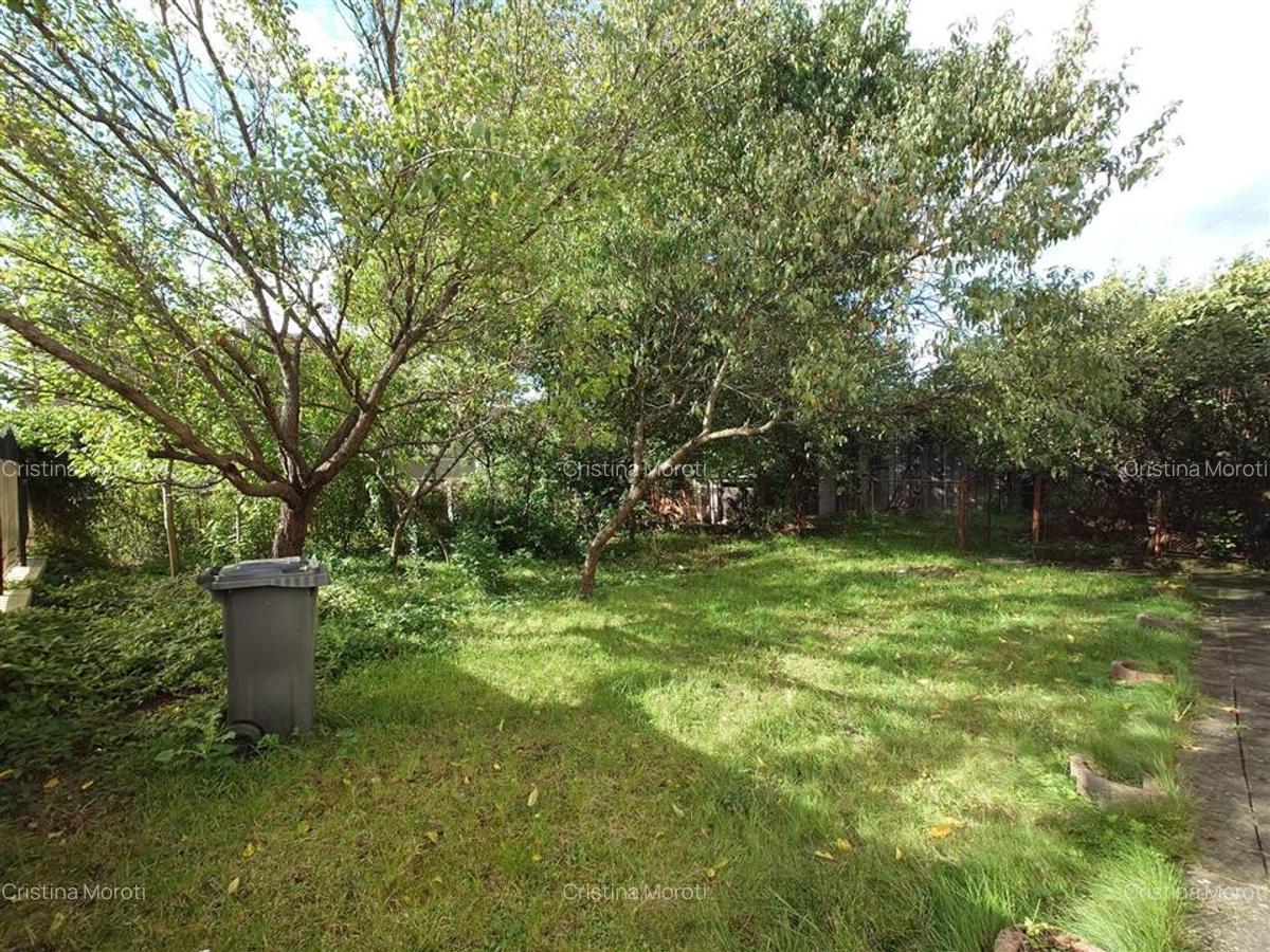 Casa cu aer nobil in Baia de Cris - 17