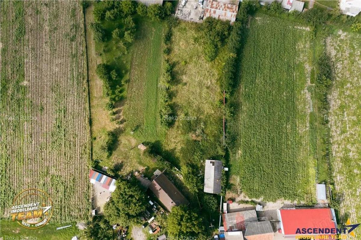 FILM! 2.200 mp, teren intravilan de vanzare in Targu-Secuiesc, Ruseni. - 2