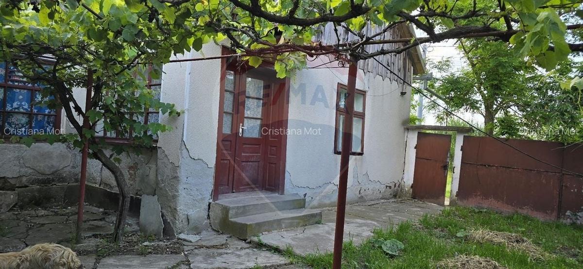 Casa  cu livada 2880 mp in Adea la 4km de Chisineu-Cris - 9