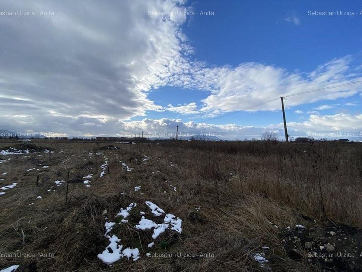 Teren Construcții intravilan de 1079 mp, în Sânpetru - 8