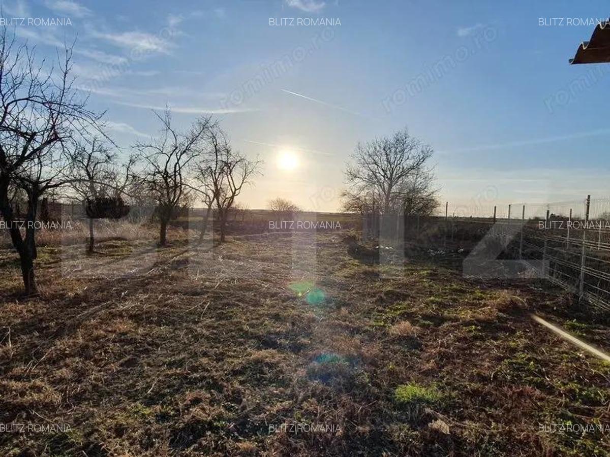 Pachet complet: casa + 800 mp Cocorastii Colt - 11