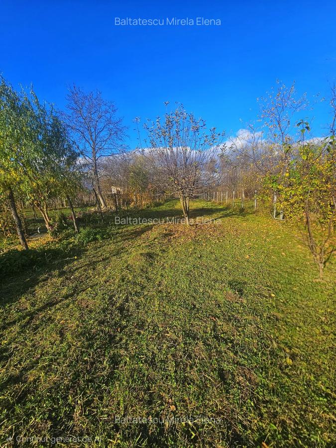 Exclusivitate! Casă cu teren generos în Sat Olteni, Com.Teișani - 11