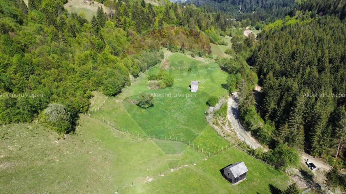 Teren 12,127mp Frasin / Drumul Forestier Valea Seaca - 9