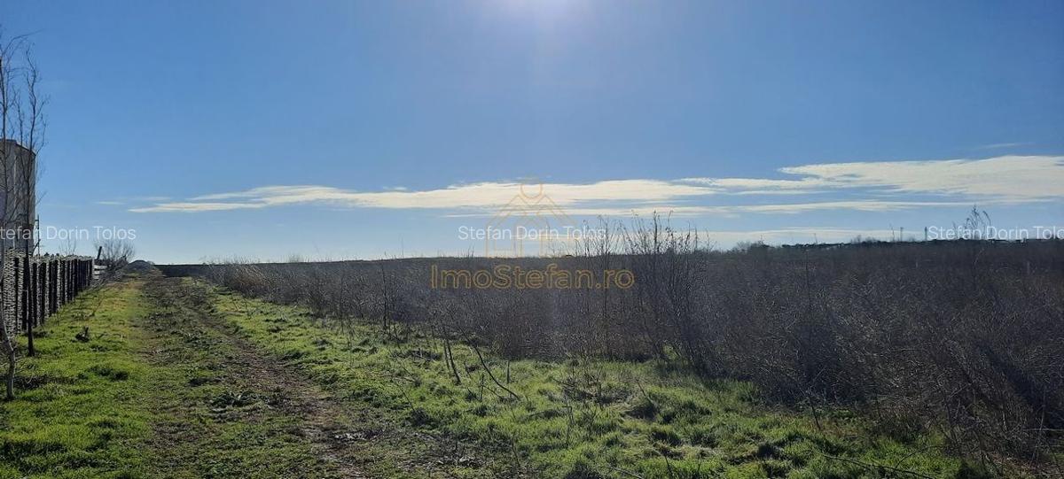 Vama Veche | Teren intravilan pentru investiții imobiliare! - 2