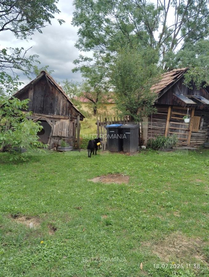 Casa la tara de vanzare, teren de 6000 mp - Cacova Ierii, Comuna Iara, Cluj - 5