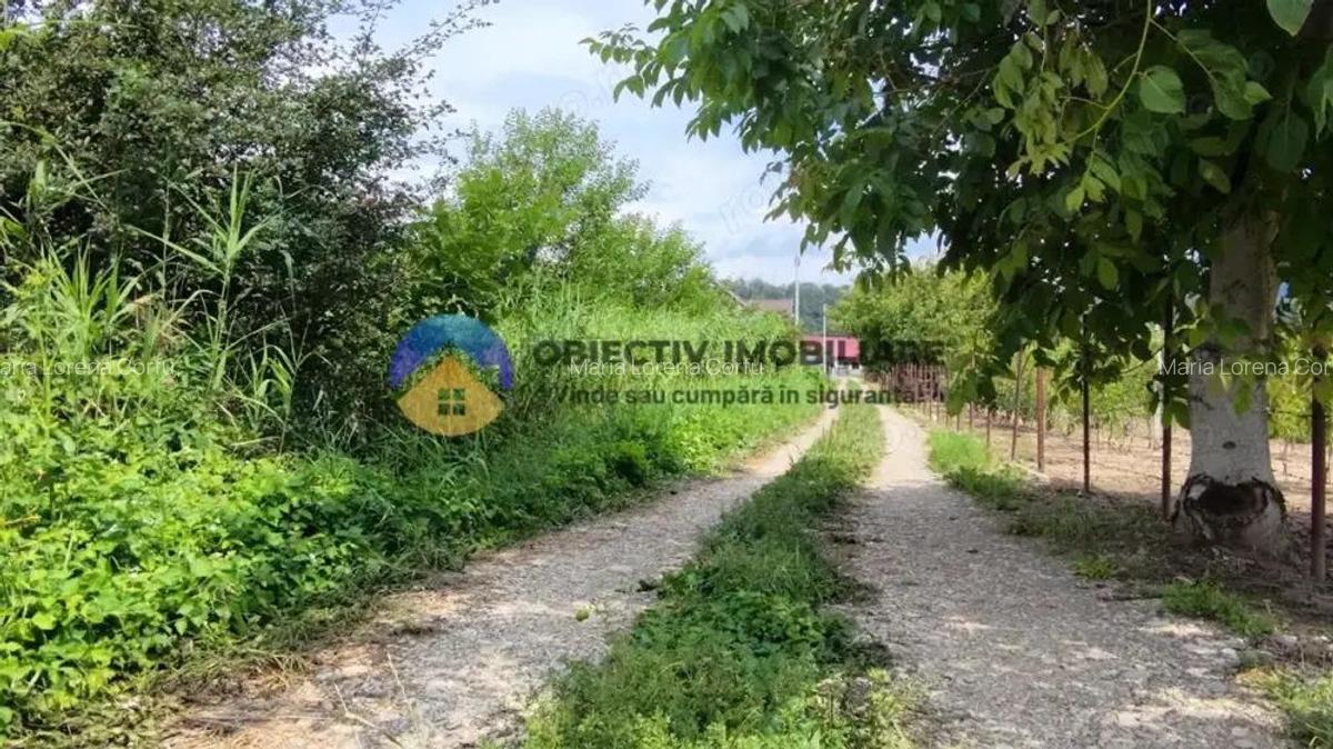 Teren intravilan com. Alexandru cel Bun- Viisoara - 11