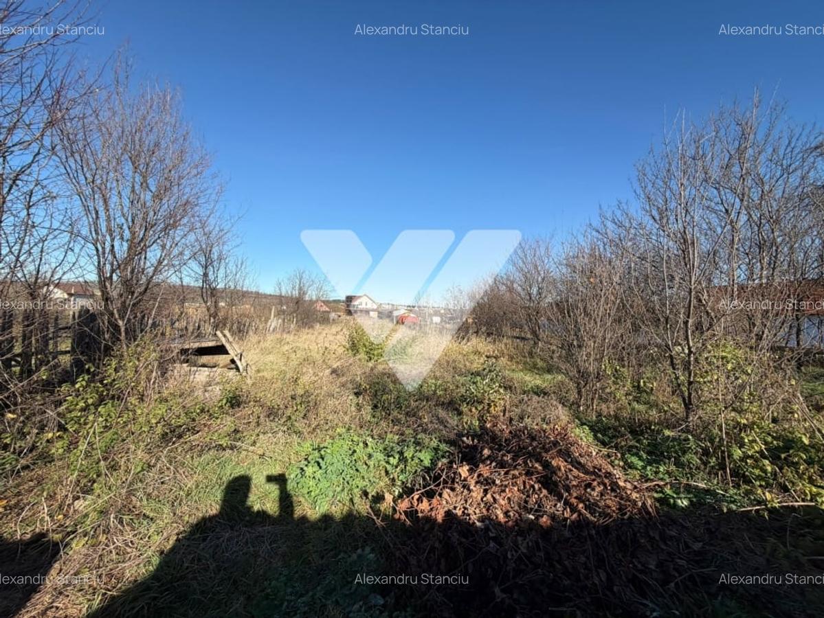 Casa 54 mp in Cristian cu teren de 1400 mp in renovare - 7