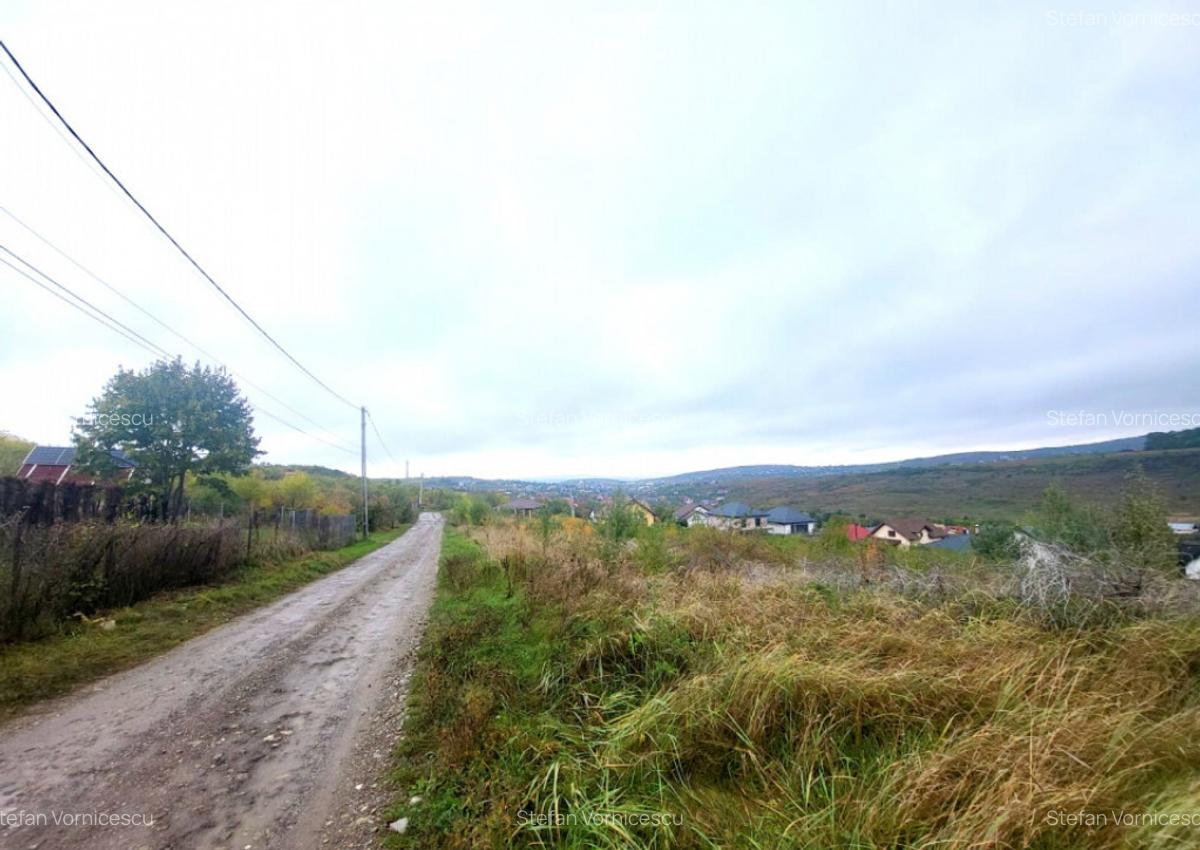 Teren de vanzare Barnova, cu priveliste Vanzare imediata - 3