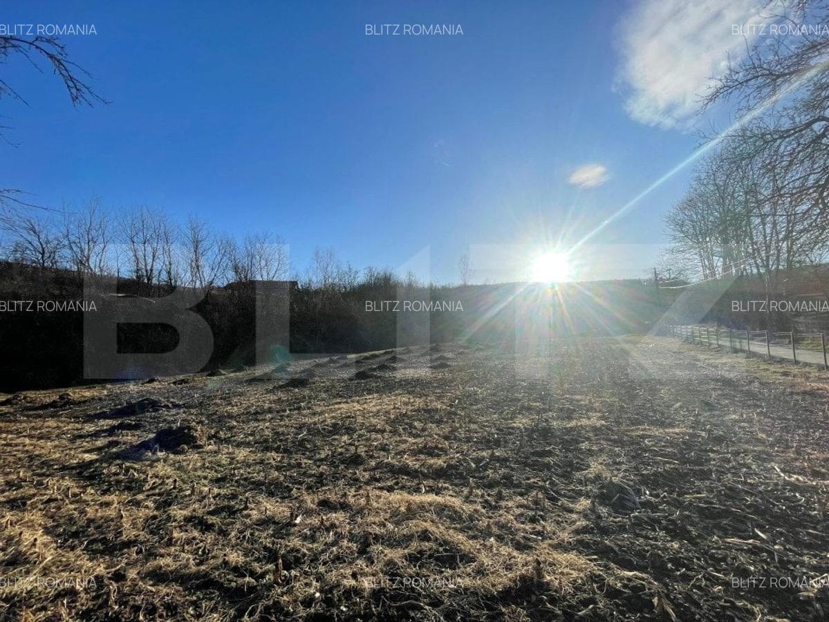 Casa 3 camere, teren 4.313mp, Patrangeni - Alba - 6