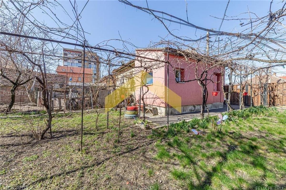 Spatiu comercial de vanzare in Micalaca, Calea Radnei - 1