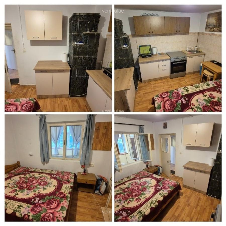 CASA + 3052m² TEREN INTRAVILAN - La iesirea A1 Olteni (30 min Buc) - 7