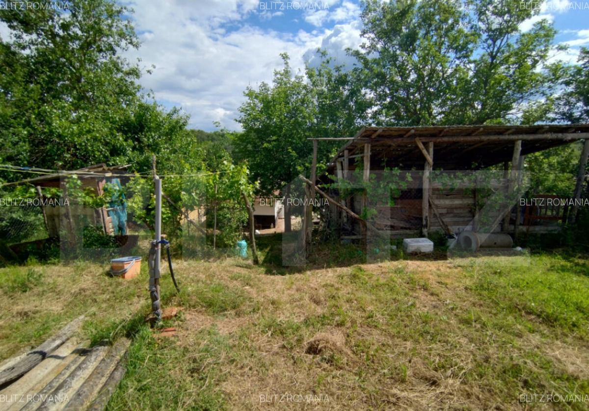 Casa renovata Varvoru de Sus, 30 mpu, 1000 mp curte. - 6