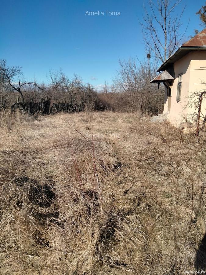 Vand casa+teren intravilan aproape 4000 m comuna suseni sat ?u?ule?ti judetul Arges pre? negociabil - 1