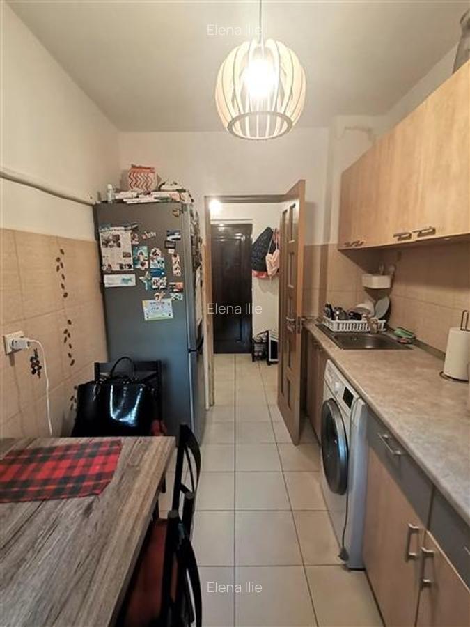 Teiul Doamnei, apartament 2 camere decom parter bloc 1982 - 6