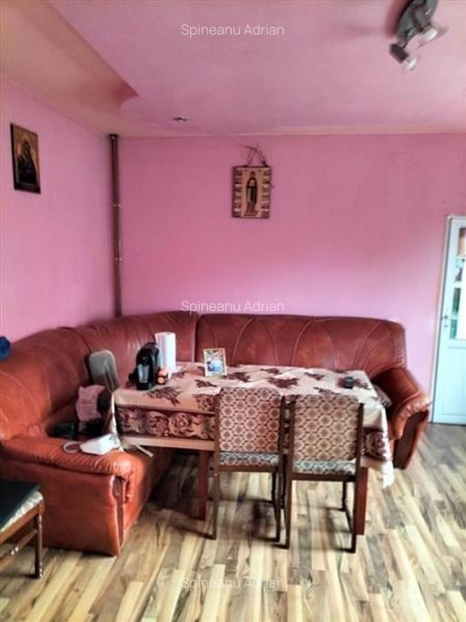 De vanzare casa individuala Biled/ Schimb apart Timisoara +diferenta - 7