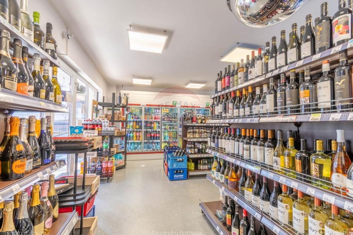 Spațiu comercial, 110 mp în Bună Ziua - 15