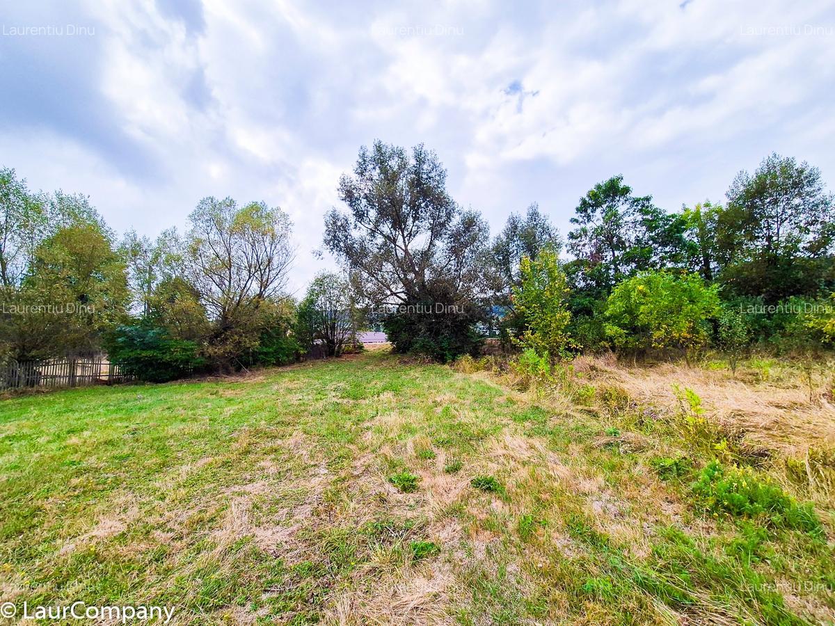 Teren 1,4 hectare Draganu Arges - 3