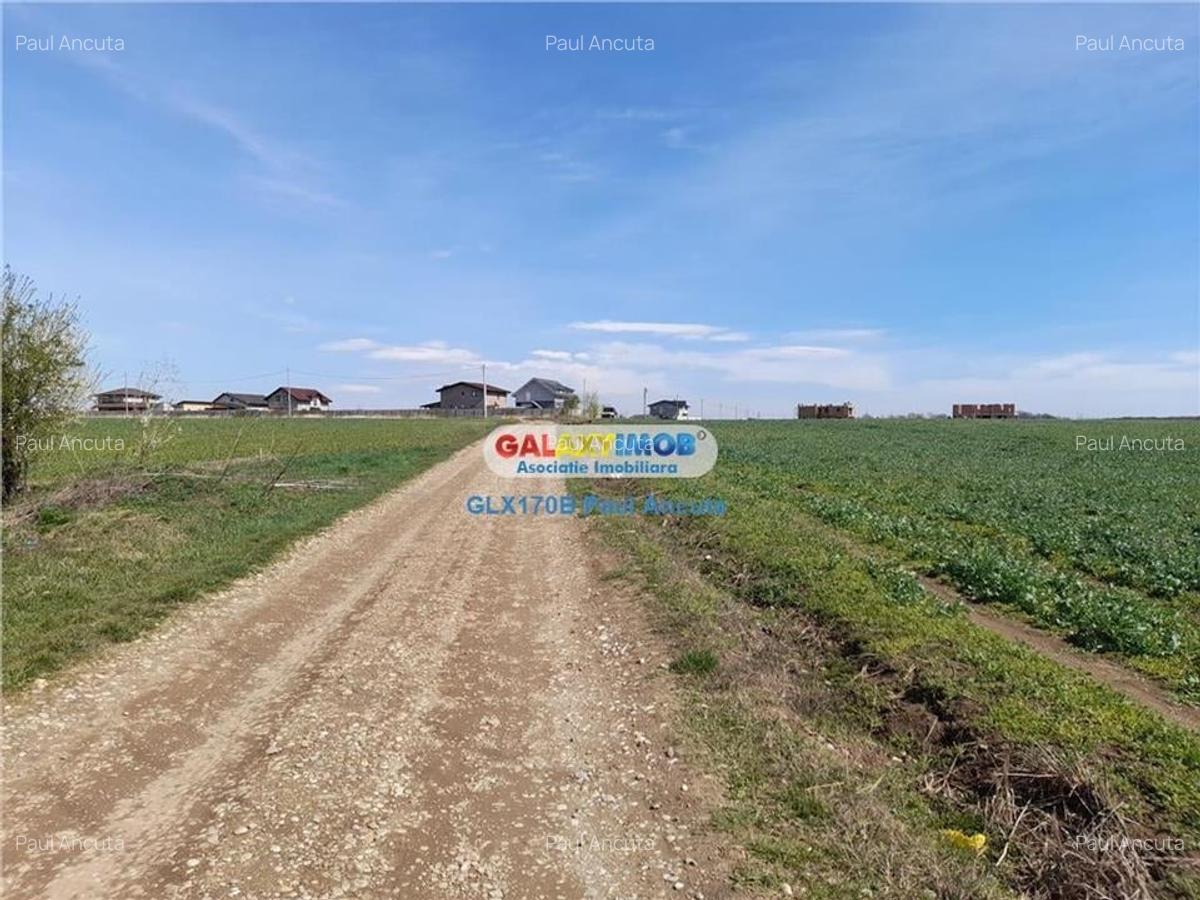 Teren Lac Balotesti 5000 mp intravilan utilitati str Lacului. - 1