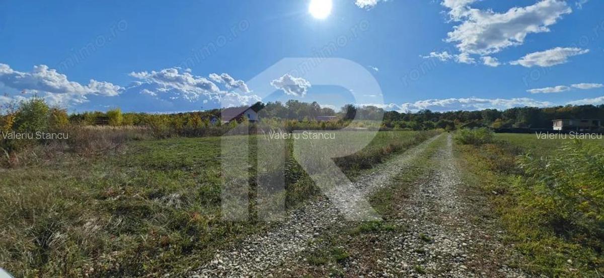 Refugiu la marginea padurii 1000 mp de liniste in Cocani. - 11