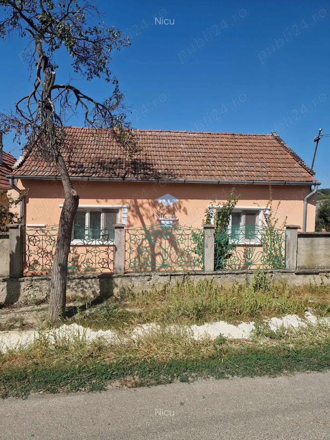 Casa la tara 40 km de Oradea - 4