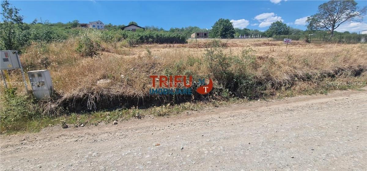 Teren intravilan cu autorizatie de constructie zona Piata - 2