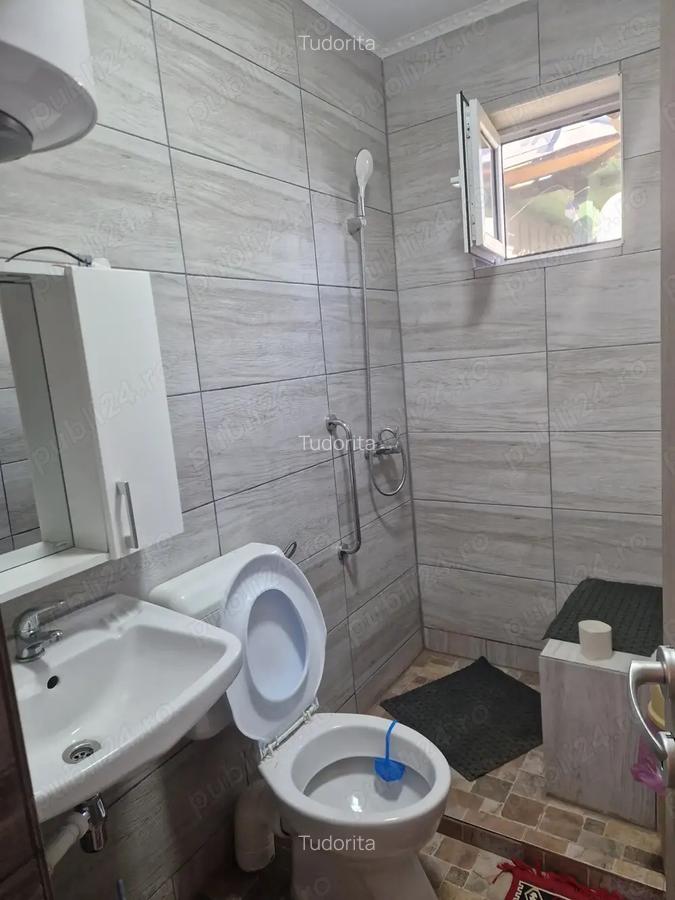 Casa de vanzare si teren, Jud.Braila, Comuna VIZIRU - 3