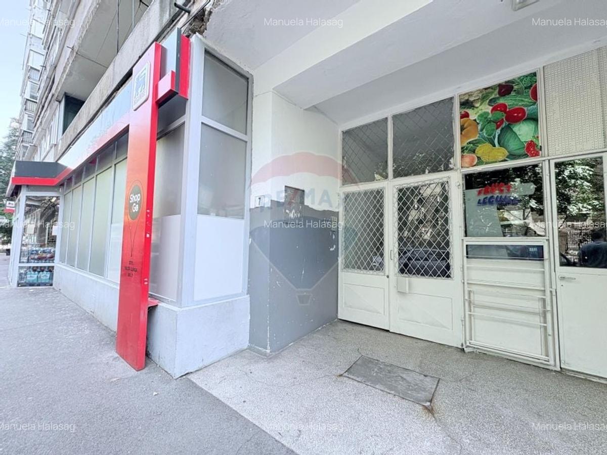 Apartament de 2 camere, 9 minute metrou Gorjului - 15