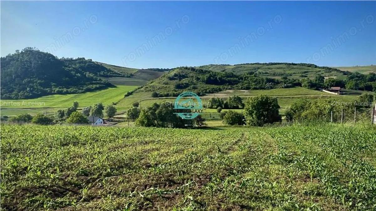 Vand teren intravilan in Sanisor cu suprafata de 4946 mp - 5