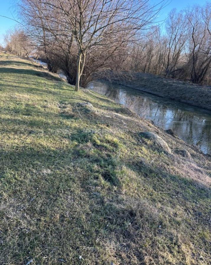 Teren- intravilan in DELTA- loc BALTENII DE JOS - 6