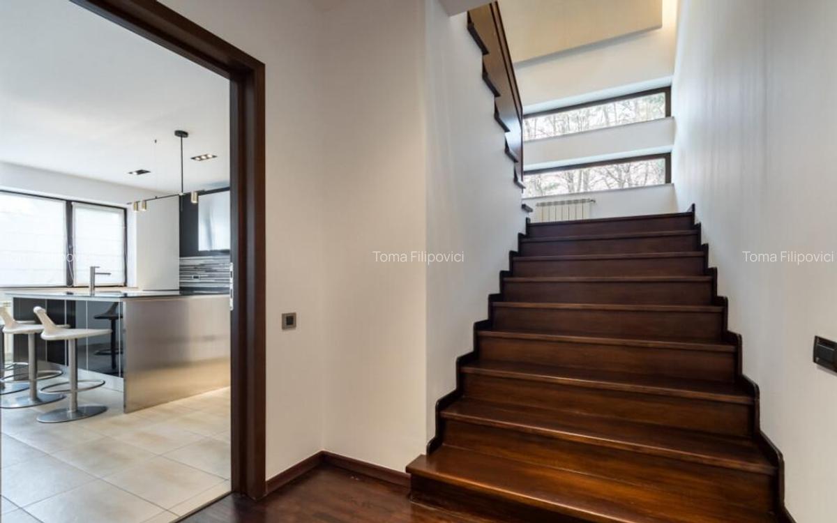 IANCU NICOLAE COMPLEX TRAIAN, VILA 350 MP, LOT 750 MP! - 15