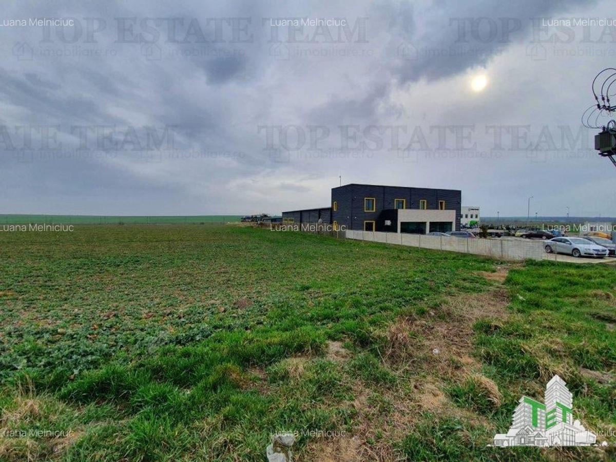 TEREN  10.000 mp Constanta - 4