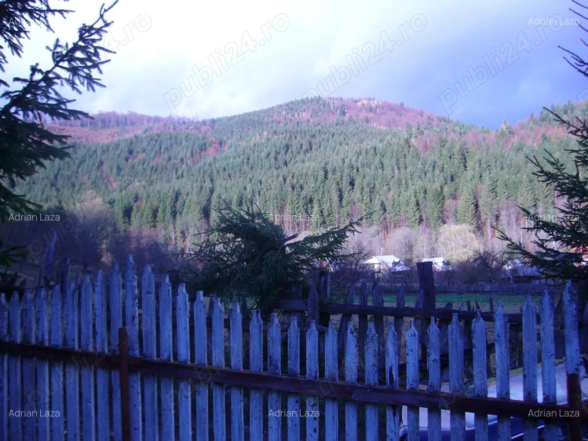 Lepsa Vrancea ,zona retrasa linistita si sigura,cabana si teren de vanzare - 4