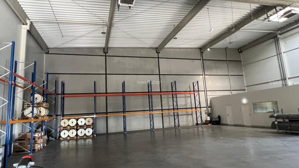 Hale de inchiriat Timisoara, Giarmata - 8