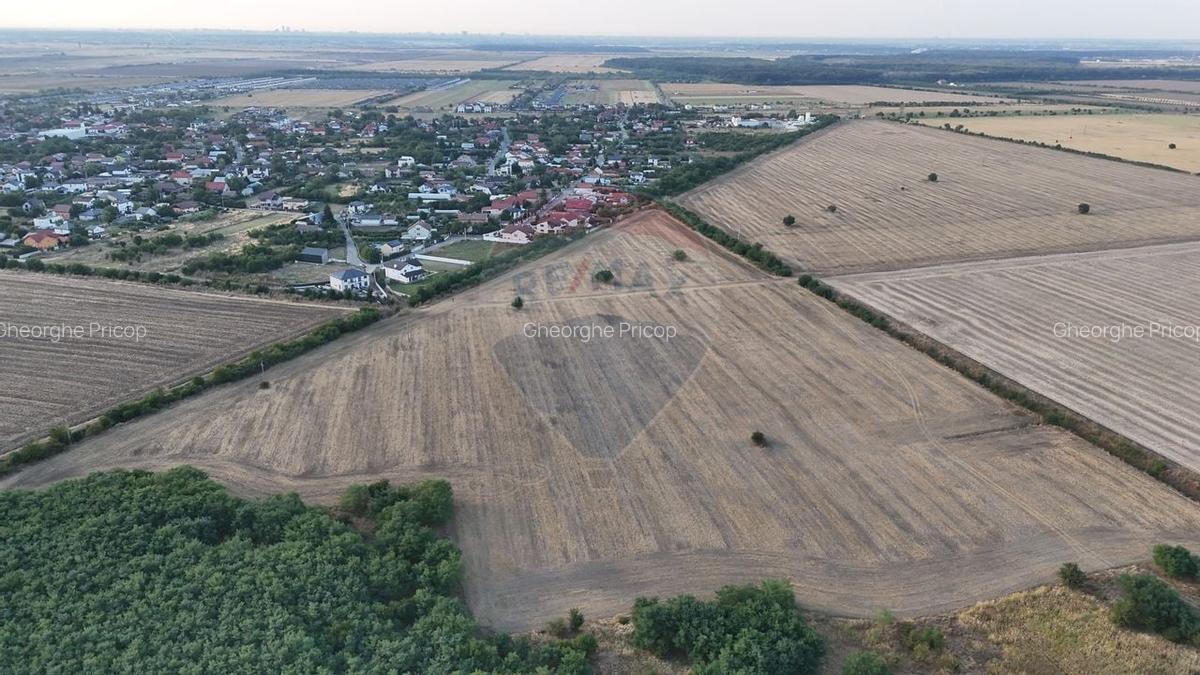 Ocazie investitie, teren intravilan Tamasi / Buftea - 4