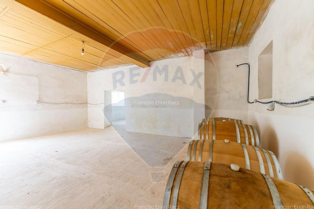 Conac aristocratic secolul XIX , domeniu  2,5 hectare -- Paulis, Arad - 19