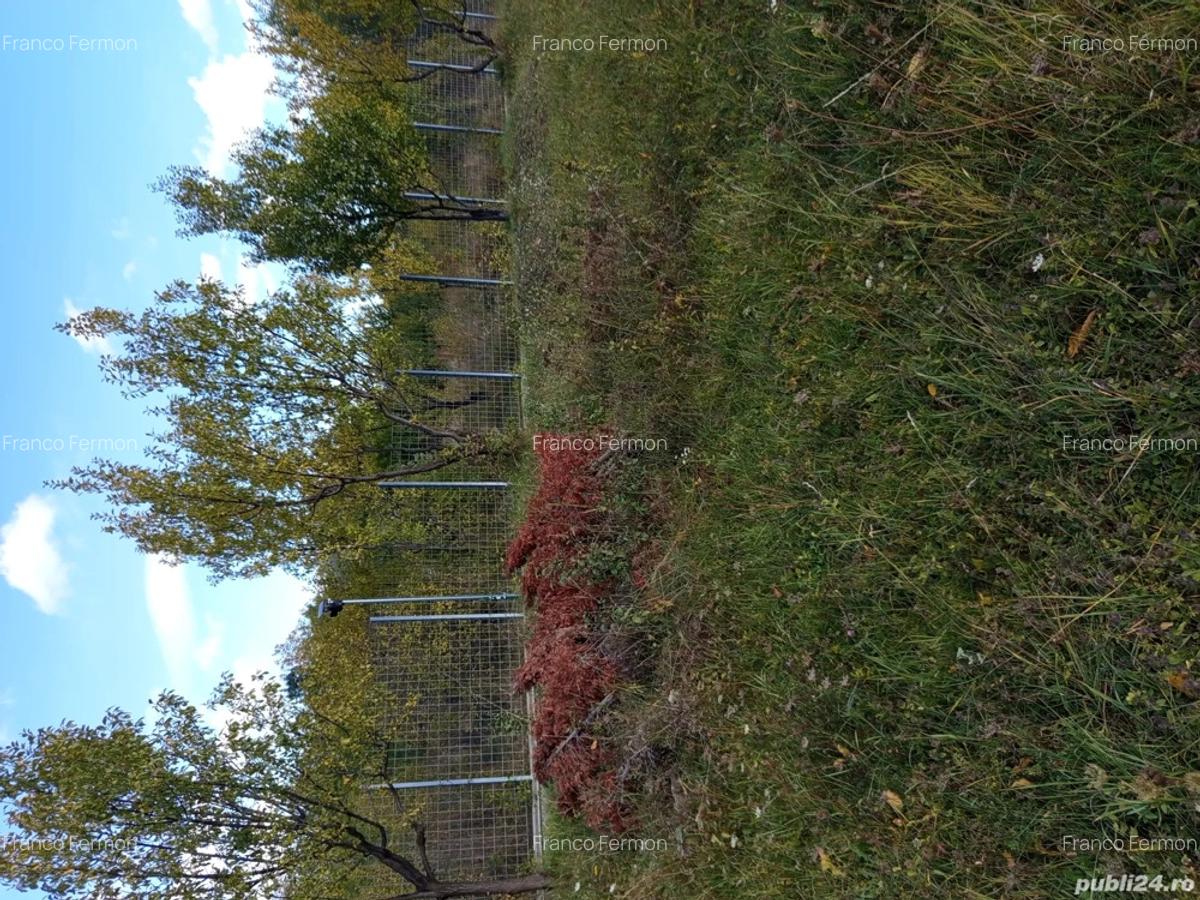 Propriet pe deal - 5