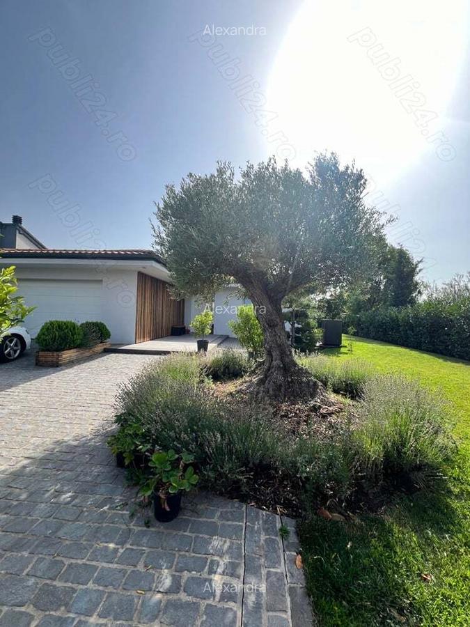 Casa de vanzare la cheie - 7 Casa de vanzare la cheie - 7