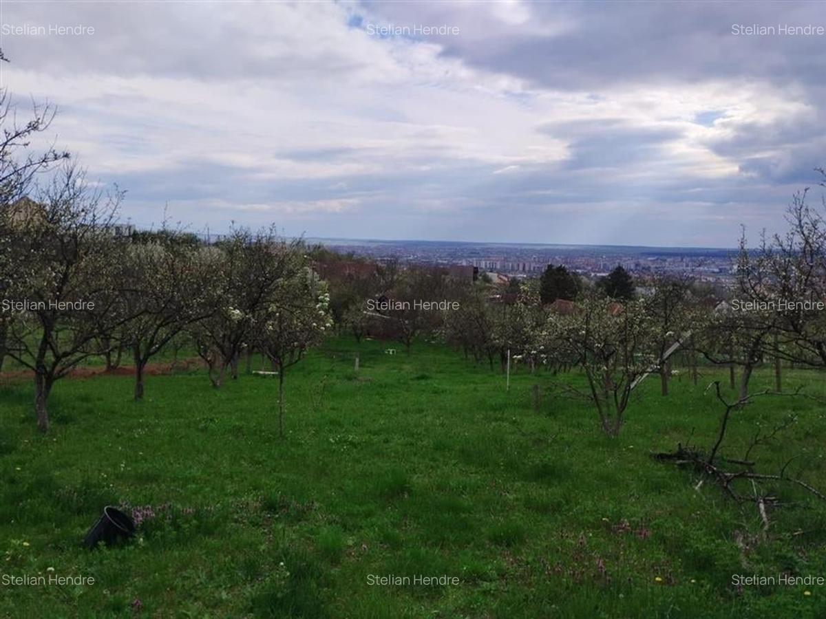 RECO Teren intravilan in Oradea zona Dealuri 1000 mp cu utilitati - 6