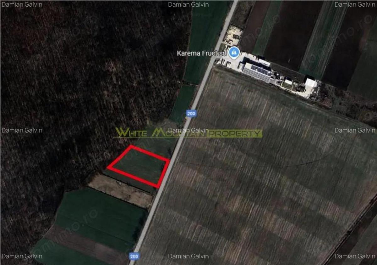 Dascalu, Ilfov, 2 ha teren de vanzare - 3