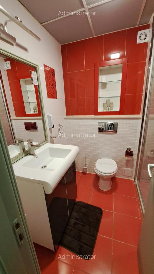 Apartament cu 2 camere semidecomandat, mobilat în Băneasa - 13