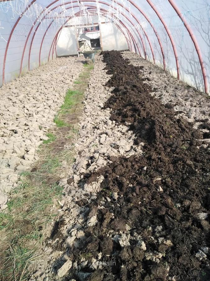 Casa 4 camere Petid,judetul Bihor - 3