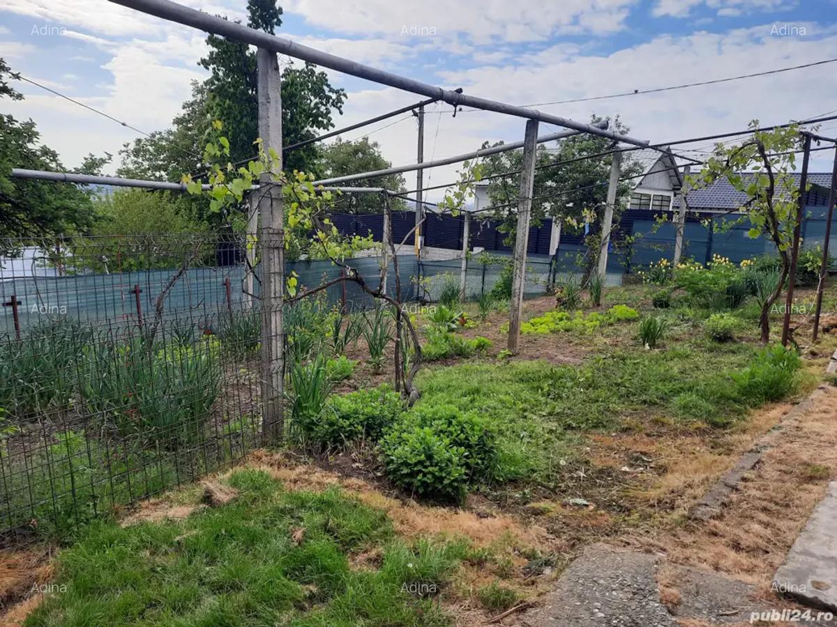 Proprietar vand casa Hemeius - 2