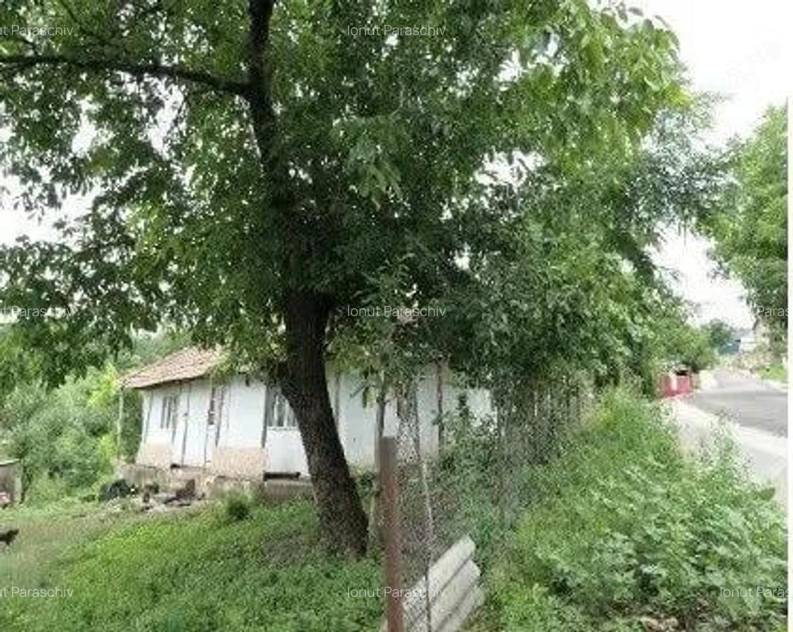 Casa si teren Costinesti, Botosani, ID: R2728052 - 7