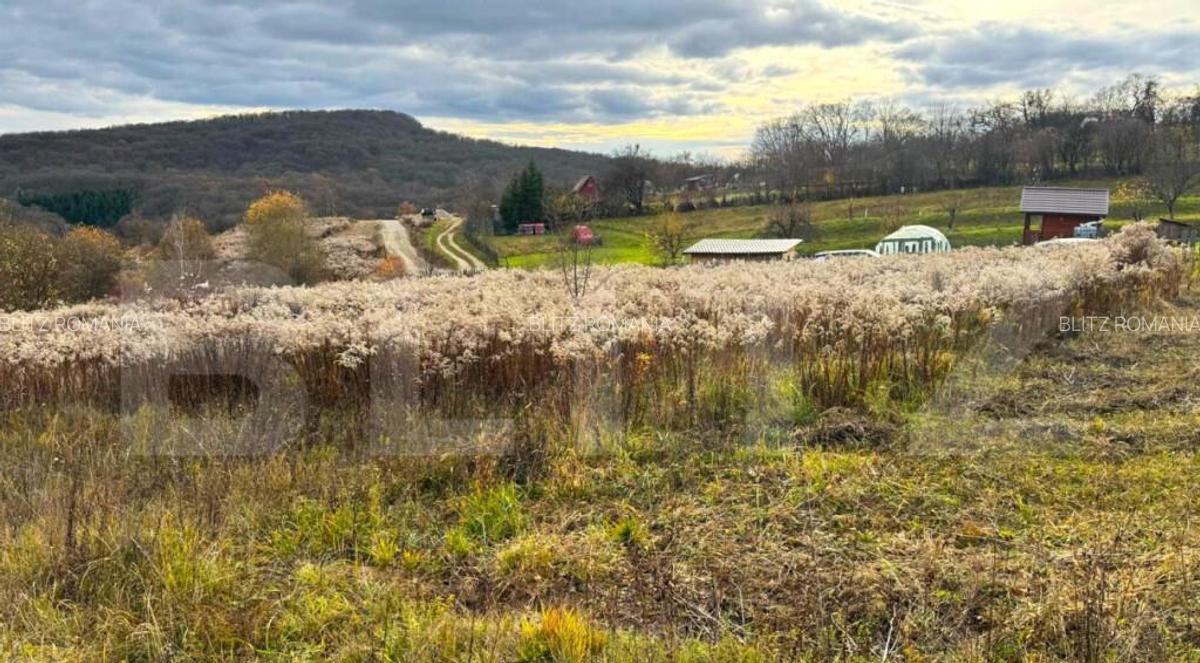 Teren extravilan de vanzare, 2400 mp, zona Valea Ghinzii - 3