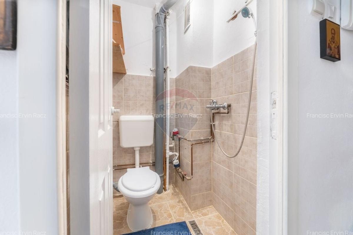 Garsoniera renovata, complet mobilata, zona centrala - Calea Romanilor - 5