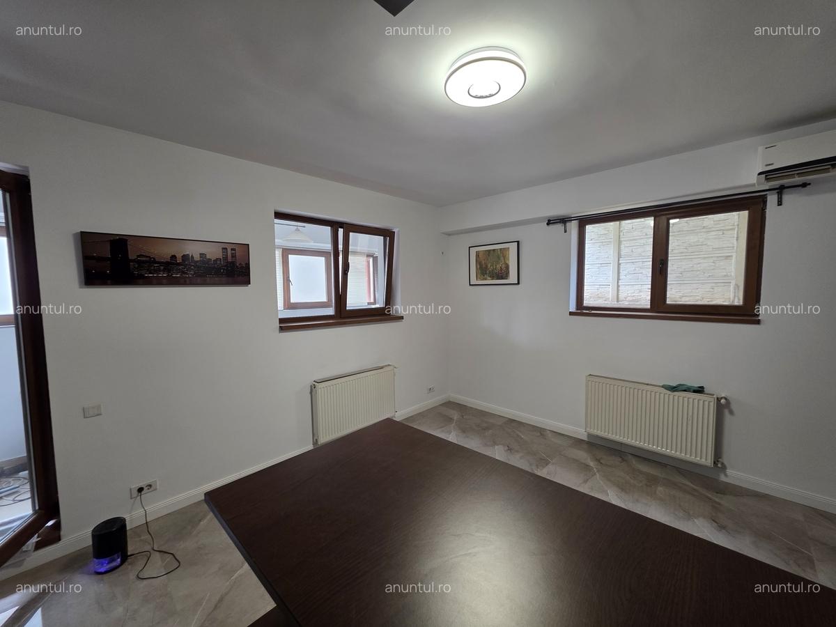 Ion Mihalache-Domenii - 14