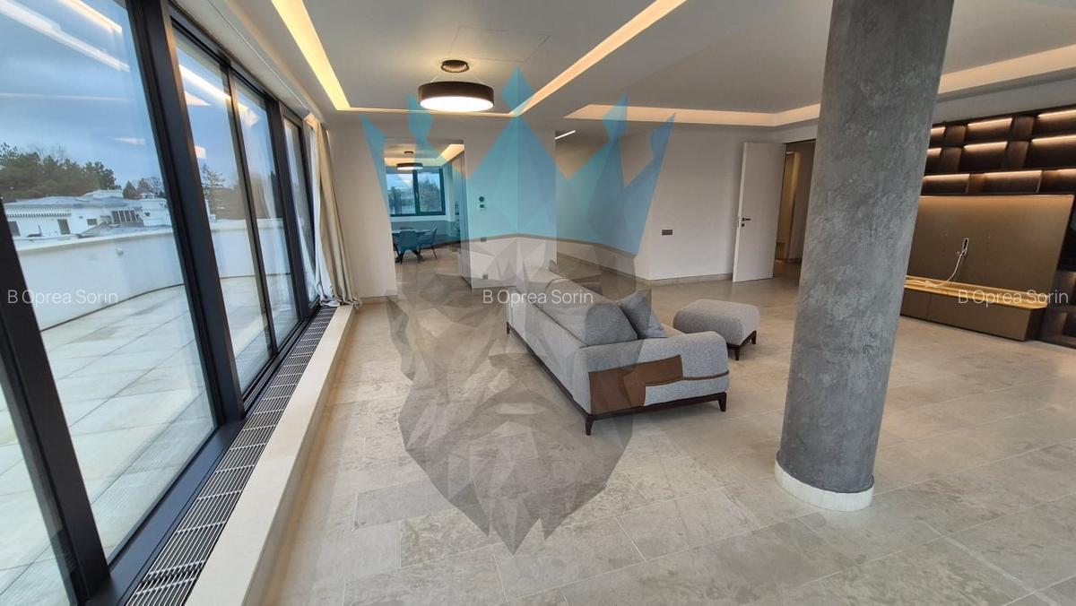 Penthouse 4 Camere Kiseleff Bucuresti - 4