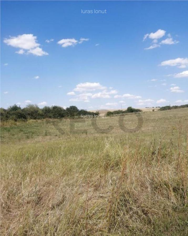 RECO, Teren in Pausa, Nojorid - 6