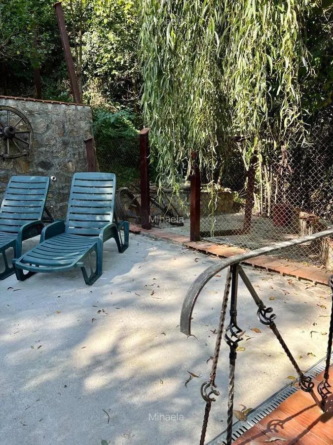 Vand casa Saca Montana - 6