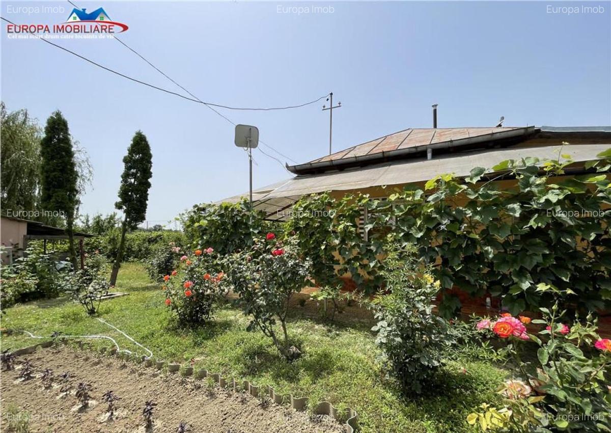 Casa de Tudor Vladimirescu Tulcea - 7